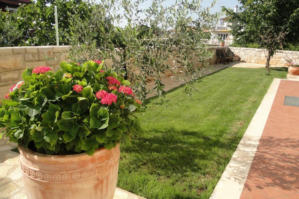 Apartments Villa Ela Umag Exterior photo